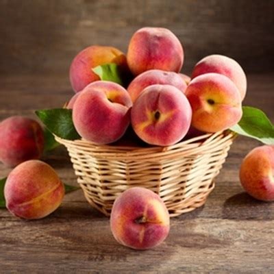 peach ml agt group wholesale