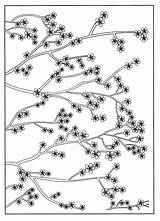 Cerisier Japonais Joli Coloriages sketch template