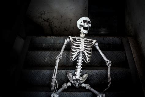life human skeleton sitting   stairs  laughing  scary abandoned building
