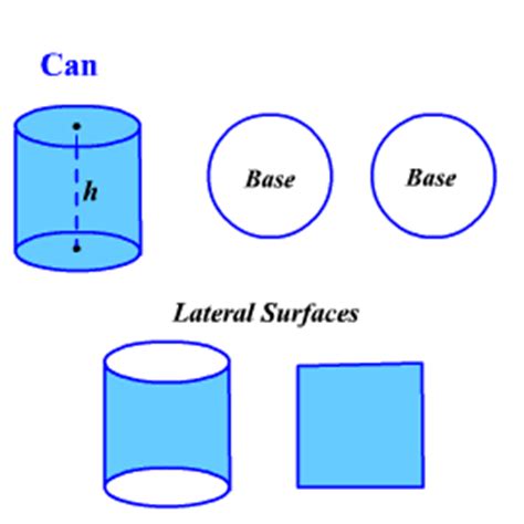 difference  total surface area  lateral surface area  urban habitat
