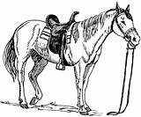 Horse Coloring Pages Realistic Printable Library Clipart Saddle Drawing sketch template