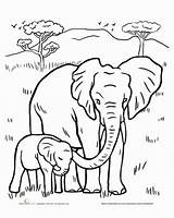 Elephant Coloring Pages Baby Mom African Family Realistic Printable Drawing Color Animal Elephants Animals Sheets Sketch Cartoon Kids Horse Two sketch template