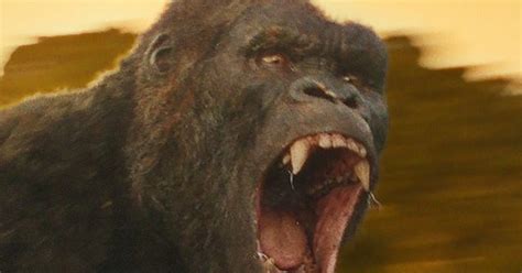hairy truth king kong sports 70s sideburns on skull island