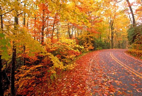 drives  kentucky  fall colors