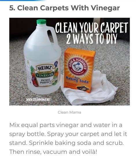 clean carpets  vinegar     clean carpet vinegar