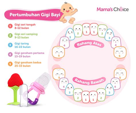 ciri ciri bayi tumbuh gigi  mengatasi  tidak rewel