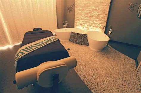 spa cationsthe  spas  naperville