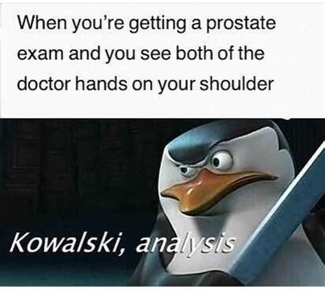 30 best kowalski memes that are funny as hell sfwfun