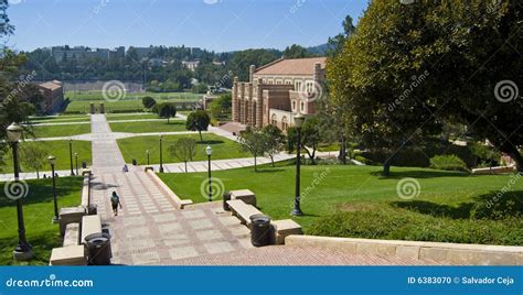 university campus landscape stock photo image