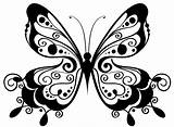 Mariposas Mariposa Dibujo Animales Imagenpng Fuego Elegimos Encontramos Faciles Visitar Hermosas sketch template