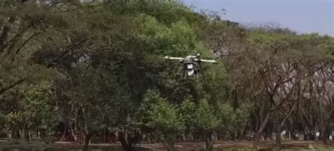 tree planting drones save  planet  missiles