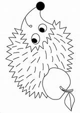 Herbst Igel Podzim Ausmalbilder Fall Omalovánky Hedgehog Omalovanky Drachen Ježek Apple Fensterbilder Kinder Malvorlagen Vorlagen šablony Obrázky školka Děti Vyrábění sketch template