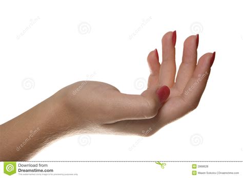 hand symbol stock photo image  nails person human