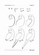 Narysować Jak Po Krok Kroku Papuga Draw sketch template