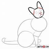Cornish Rex Draw Cat Step Sketchok sketch template