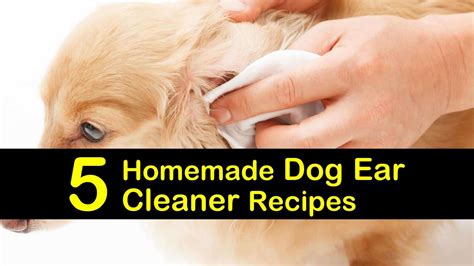 homemade dog ear cleaner recipes