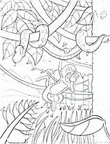 Rainforest Coloring Printable Pages Getdrawings sketch template