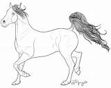 Arabian Oryx sketch template