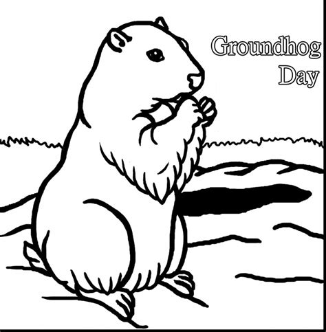 groundhog coloring page  getdrawings