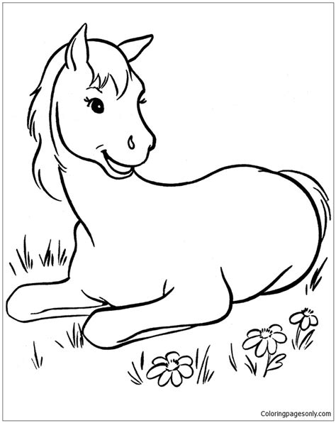 horse cute coloring page  printable coloring pages