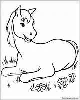 Horse Pages Cute Coloring Color Print Kids Adults sketch template