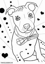 Coloring Pages Pitbull Bull Dog Terrier Pit Printable Selection Twozies Puppy Getdrawings Puppies Drawing Silhouette Getcolorings Face Clip Colorings Popular sketch template