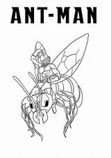 Ant Man Coloring Pages Printable sketch template
