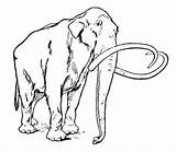 Mammoth Woolly Mammut Wooly Preistorici Supercoloring Peloso sketch template