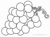 Grapes Fruit sketch template