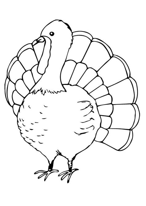 coloring page turkey coloring pages fall coloring pages bird
