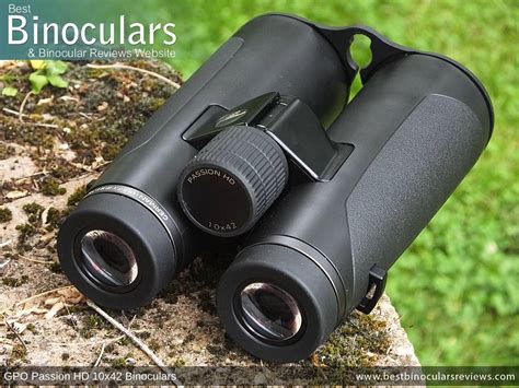 gpo passion hd 10x42 binoculars review