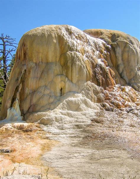 mammoth hot springs in yellowstone stock image image of yellowstone