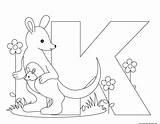 Letter Alphabet Kangaroo Printable Coloring Pages Animal Kids Letters Print sketch template