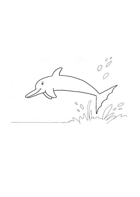hwfd dolphin tale  coloring pages high resolution hd wallapapers