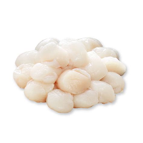 china sea scallop manufacture  factory makefood