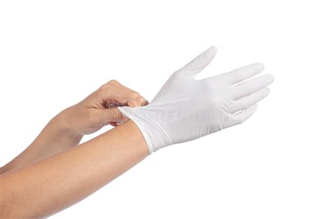 woman hands putting on a latex gloves stock image image of clean nurserie 33489901