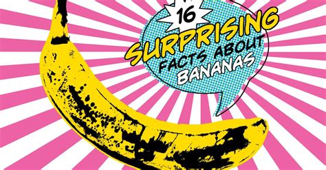 16 surprising facts about bananas livestrong