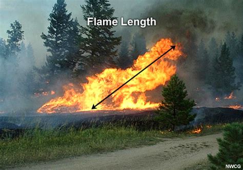 flame length