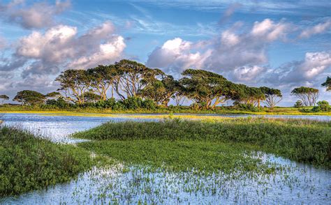 introducing marsh walk luxury ocean park retreat