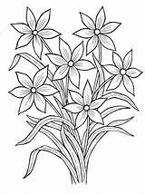 Blumenstrauss Disegni Colorare Coloring Kostenlos Ausmalbild Malvorlagen Narcissus Mazzo Mazzi Belli Bambini Drucken sketch template