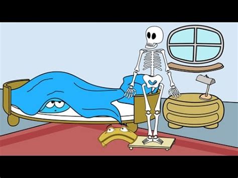 skelett des menschen schulfilm sachkunde youtube