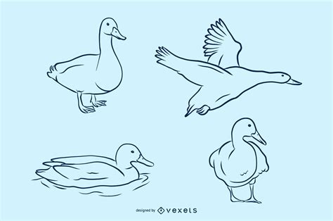 duck vector illustration set vector