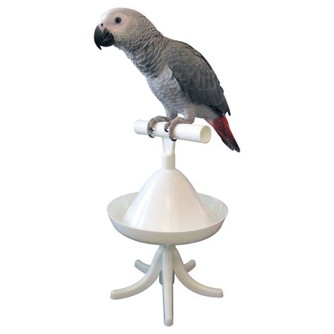 living  portable bird perch parrot perch bird perch parrot