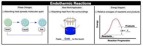 endothermic exothermic reactions gob video clutch prep