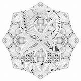 Numero Vector Mandala Eight Zentangle Decorative Coloring Preview sketch template