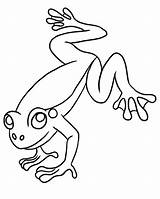 Frog Leap Clipartpanda sketch template