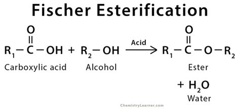 fischer esterification definition examples  mechanism