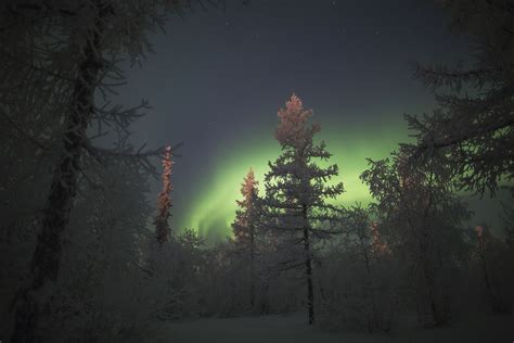 the magic of the russian north polar lights near novy urengoy · russia travel blog