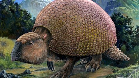ancient giant armadillo  responsible  giving   avocado
