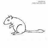 Gerbil Coloring Pages Kids Index Template Sit Own Color sketch template
